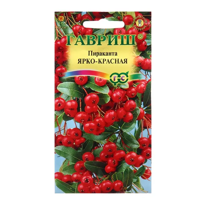 Семена Пираканта "Ярко-красная", ц/п,  5 шт.