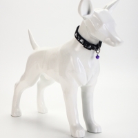 Ошейник "Котята", 40 х 1,5 см, черный