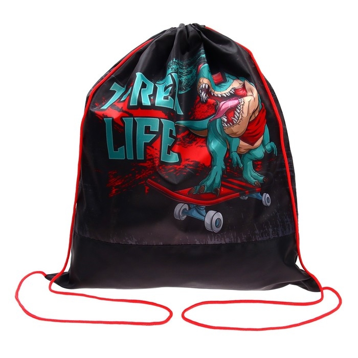 Мешок для обуви 490 х 410 мм, СДС-53, T-REX 2023