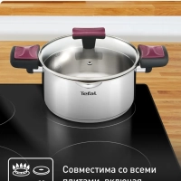 Кастрюля Cook & Clip 24 см с крышкой, подходит для индукции