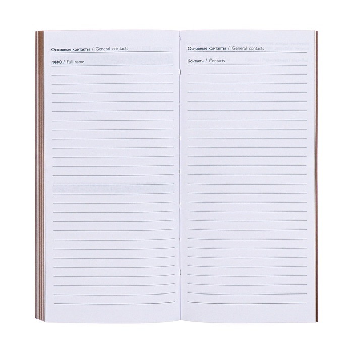 Еженедельник датированный 2025 года, 80х165 мм, 64 листа ESCALADA, мягкая обложка из искусственной кожи, блинтовое тиснение, блок 70 г/м&sup2;, бежевый