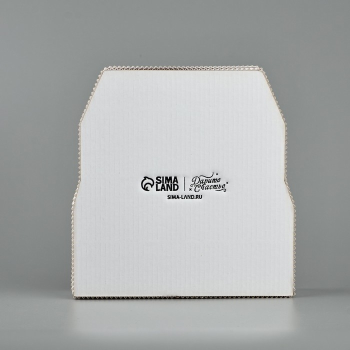 Коробка подарочная «Весёлые зверята», 17 х 17 х 5 см Коробка подарочная «Весёлые зверята», 17 х 17 х 5 см