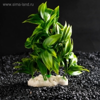 Растение искусственное аквариумное, 12,5 х 10 х 14 см Растение искусственное аквариумное, 12,5 х 10 х 14 см