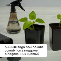 Набор для рассады: стаканы по 700 мл (10 шт.), поддон 44 &times; 18 см, чёрный, Greengo