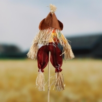 Огородное пугало &laquo;Тыква&raquo;, h = 50 см, МИКС, Greengo