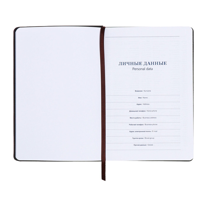 Ежедневник недатированный, А5, 140л, клетка, обл.кожзам, Синий