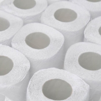 Туалетная бумага «Вятская», 2 слоя, 12 рулонов Туалетная бумага «Вятская», 2 слоя, 12 рулонов