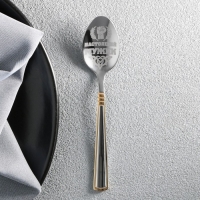 Ложка чайная с гравировкой &laquo;Настоящий мужик&raquo;, в подарочной коробке, 3 х 14 см.