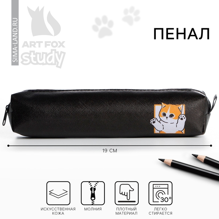 Пенал школьный из искусственной кожи &laquo;1 сентября: Кот корея&raquo;, 19 х 8 х 3 см