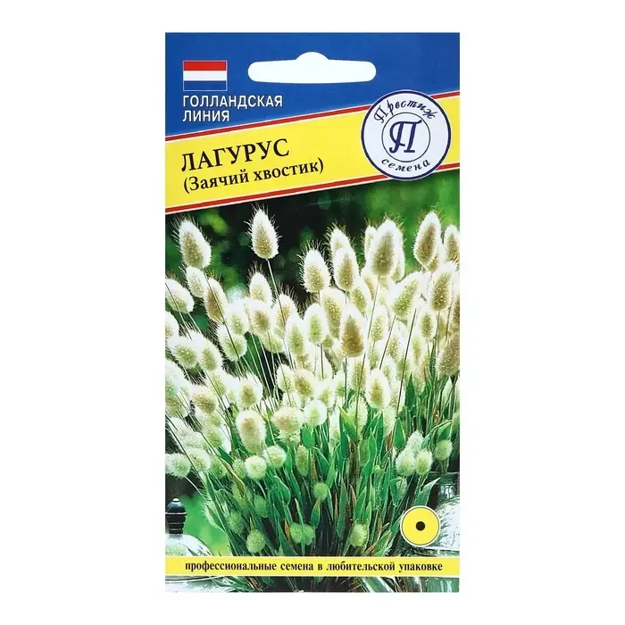 Семена цветов Лагурус (заячий хвостик), О, 10 шт