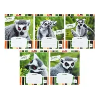 Тетрадь 18 листов в линейку, ErichKrause Lemur Style, МИКС