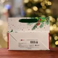 Пакет подарочный "Снегирь на праздник ",  23 х 17,8 х 9,8 см