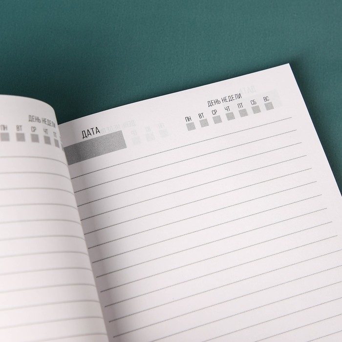 Набор &laquo;Весь мир в твоих руках&raquo;, чай чёрный со вкусом чабреца 50 г., печенье с предсказанием 48 г., ежедневник