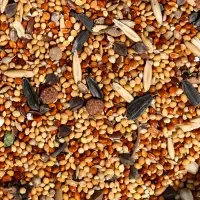 Корм &laquo;Верные друзья&raquo; для карелл и неразлучников, овощи/фрукты, 500 г