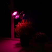 Фитолампа светодиодная Luazon Lighting, А60, E27, 9Вт, IP44, 220В, 270&deg;, мультиспектральная