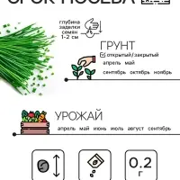 Семена Лук шнитт "Чемал", 0,2 г