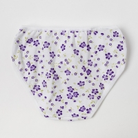 Трусы для девочки, цвет микс, рост 128 см Трусы для девочки, цвет микс, рост 128 см