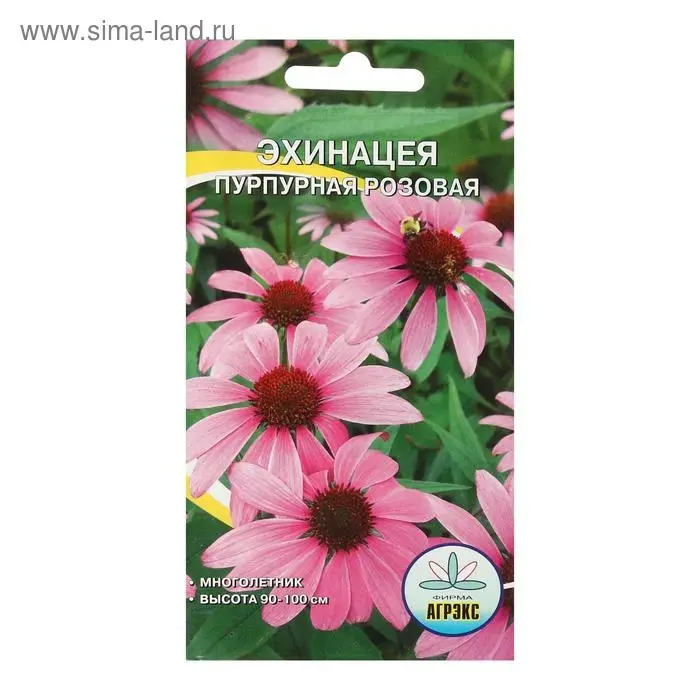 Семена цветов Рудбекия "пурпурная-Розовая", 0,1 г