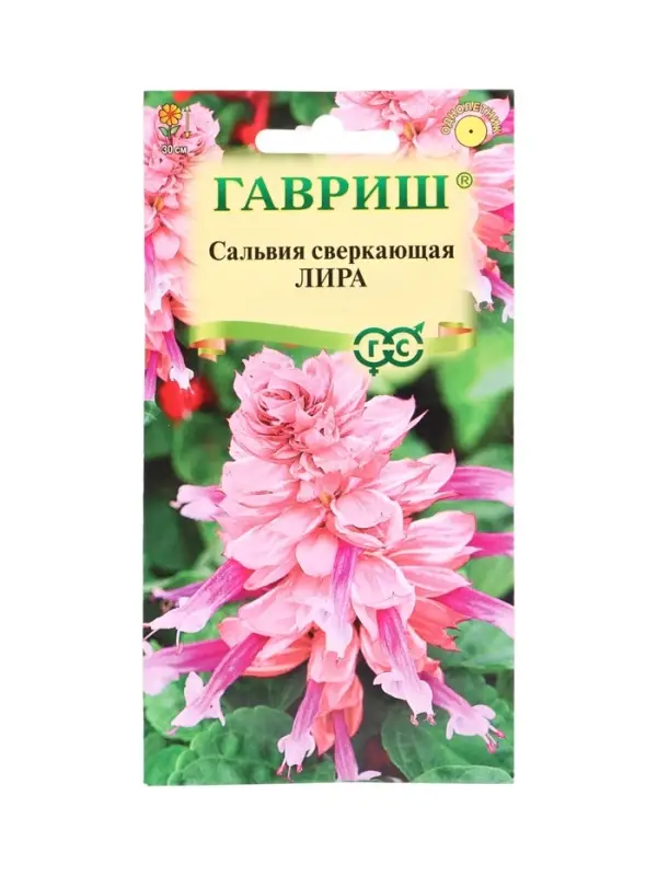 Семена цветов Сальвия Лира* 4 шт.