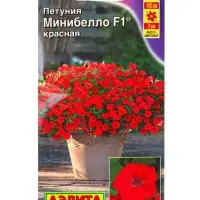 Семена цветов Петуния мини Минибелло F1 красная многоцветковая  (драже) С. Farao, Ц/П,5 шт.