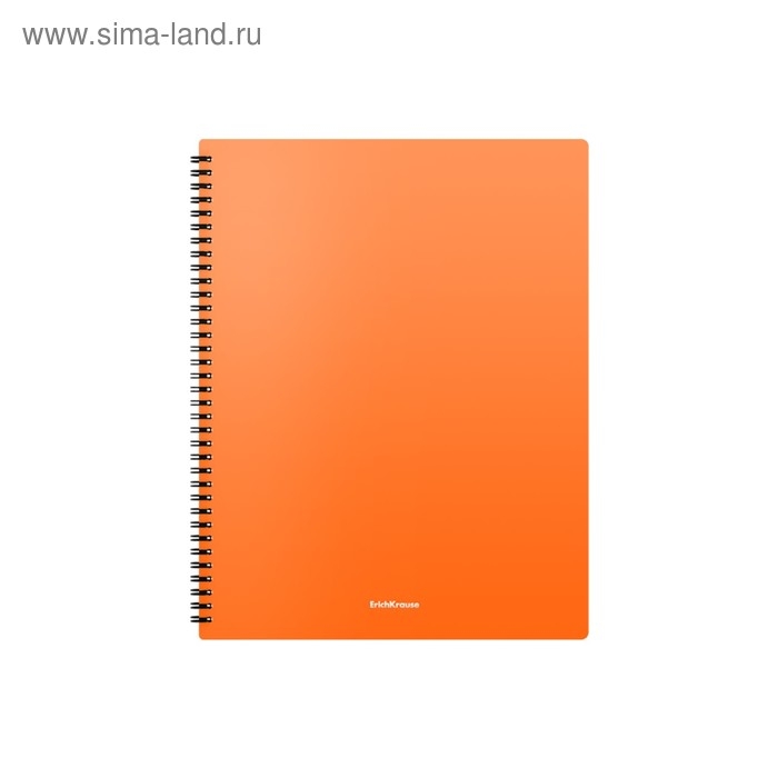 Папка с 20 вкладышами на спирали, А4, 600 мкм, ErichKrause Matt Neon, текстура "песок", МИКС