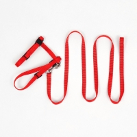 Комплект для кошек, ширина 1 см, ОШ 16,5-27 см, ОГ 21-35 см, поводок 120 см, красный