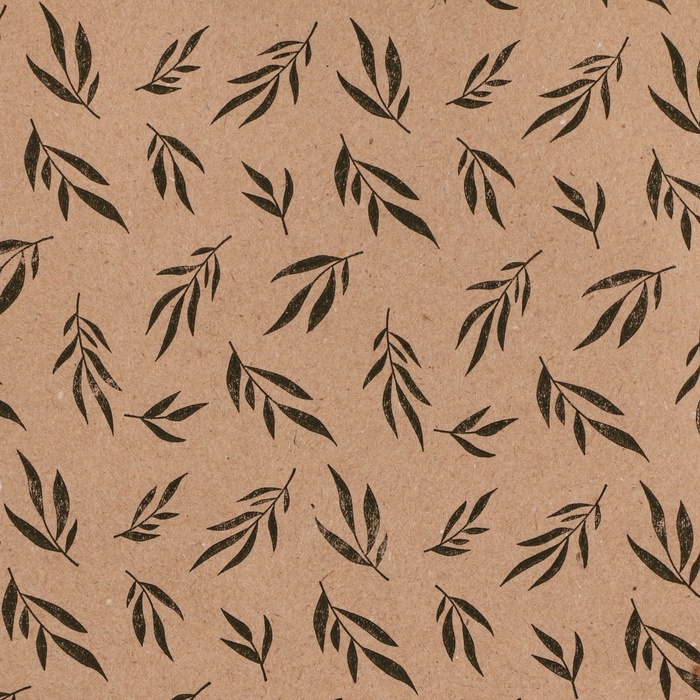 Бумага упаковочная крафт в рулоне &laquo;Ветки&raquo;, 0.5 х 8 м