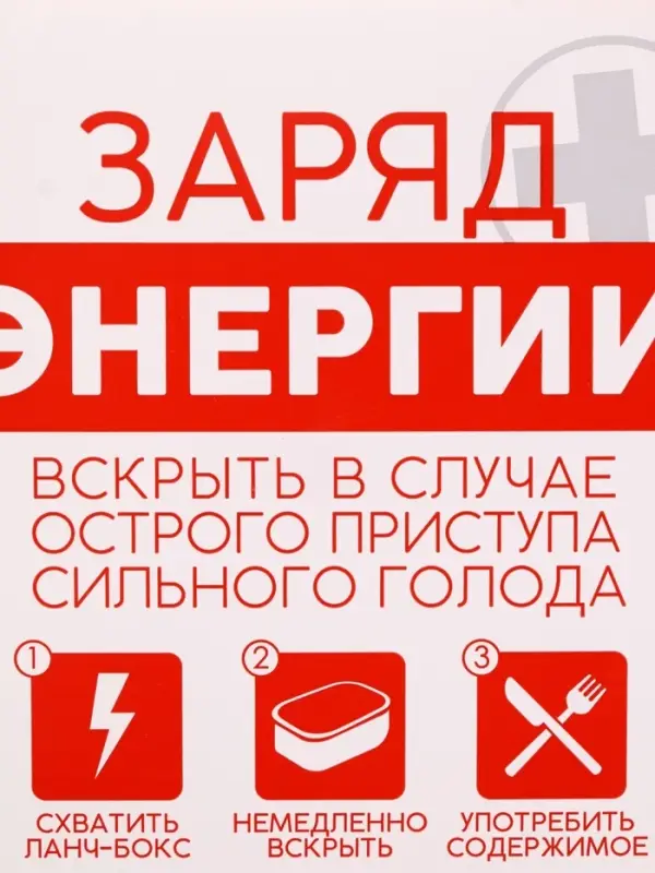 Ланч - бокс &laquo;Заряд энергии&raquo;, 1200 мл