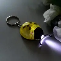 Фонарик брелок для ключей на кольце &laquo;Божья коровка&raquo;, МИКС
