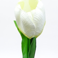 Штекер с подсветкой "Тюльпан" белый, 8х70см