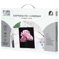 Картина по номерам &laquo;Розовые цветы&raquo;, 30 &times; 40 см, на черном холсте