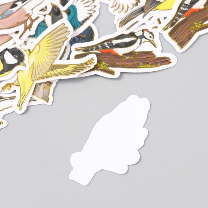 Наклейки для творчества Наклейки для творчества "Городские и лесные птицы" тиснение золото набор 48 шт 9х7х0,8 см