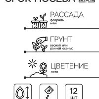 Семена цветов Клематис "Китайские Фонарики", 12 шт.