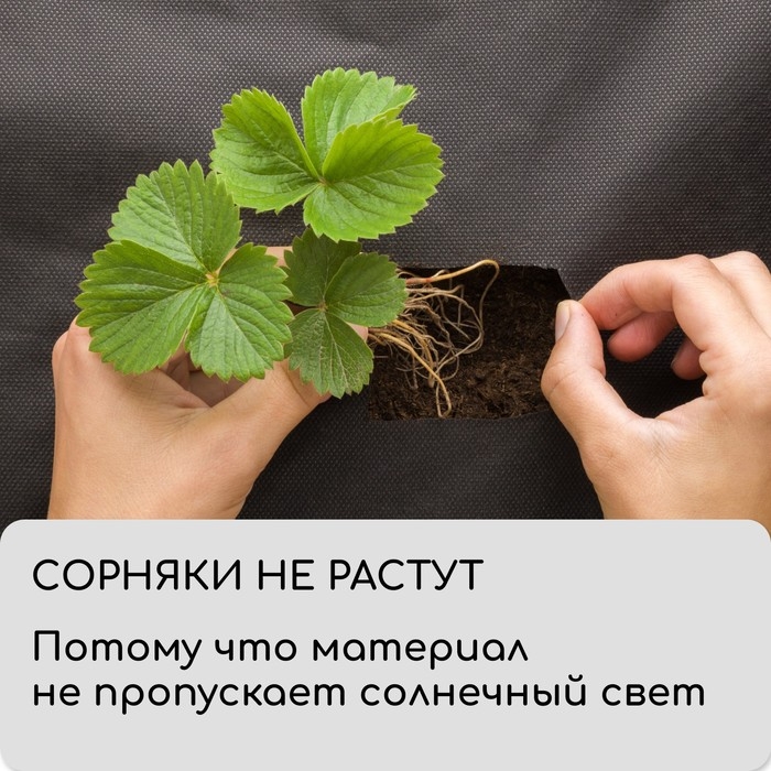 Материал мульчирующий, с перфорацией (4 ряда), 20 × 1,6 м, плотность 80 г/м², спанбонд с УФ-стабилизатором, чёрный, Greengo, Эконом 30% Материал мульчирующий, с перфорацией (4 ряда), 20 × 1,6 м, плотность 80 г/м², спанбонд с УФ-стабилизатором, чёрный, Greengo, Эконом 30%