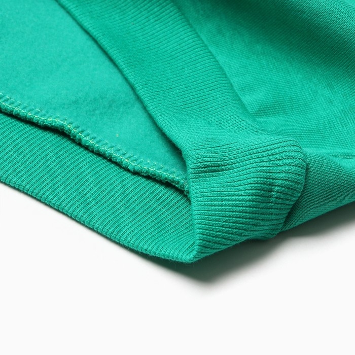 Костюм для мальчиков (толстовка, брюки), НАЧЁС, цвет зелёный, рост 98 см