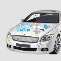 Набор магнитов на авто «Спасибо за сына», на выписку, 42 см х 29,7 см Набор магнитов на авто «Спасибо за сына», на выписку, 42 см х 29,7 см