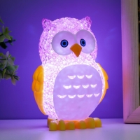 Ночник "Филин" LED RGB от батареек 3хLR44 МИКС 6х7х10см RISALUX