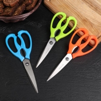 Ножницы кухонные Доляна &laquo;Саймон&raquo;, 23 см, цвет зелёный