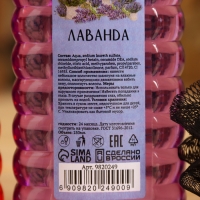 Шампунь "Лаванда и Малина", 2 шт по 250 мл + мочалка