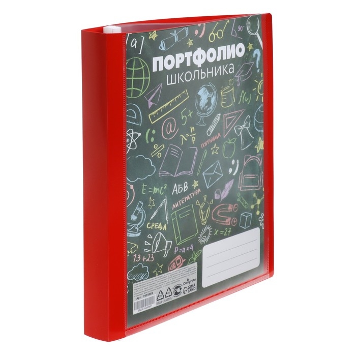Папка-портфолио А4, Calligrata Папка-портфолио А4, Calligrata "Веселая школа", пластиковая, на 4 кольцах, для школьника, 20 файлов
