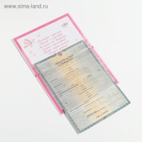 Папка для свидетельства о рождении малышки &laquo;Зайка&raquo;, А5