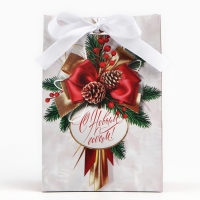 Пакет подарочный новогодний с лентой &laquo;Новый год&raquo;, 13 х 19 х 9 см , Новый год