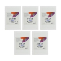 Холст на картоне, 10 х 15 см, хлопок 100%, НАБОР 5 штук, акриловый грунт, мелкозернистый, 380 г/м&sup2;, ЗХК &laquo;Мастер Класс&raquo;