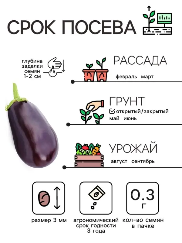Семена Баклажан &laquo;Чёрный красавец&raquo;, 0.3 г