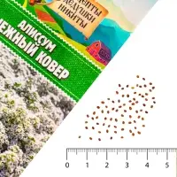 Семена цветов Алиссум "Снежный ковер", 0,05 г