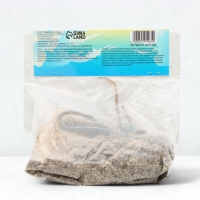 Хоста Antioch, корневище в пакете с торфогрунтом, р-р I, размер ML,1 шт.