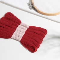 Нитки мулине, 8 ± 1 м, 6 шт, цвет красный №817 Нитки мулине, 8 ± 1 м, 6 шт, цвет красный №817