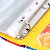 Папка школьная на кольцах &laquo;Портфолио школьника&raquo;, 13 листов-разделителей, 24,5 х 32 см.