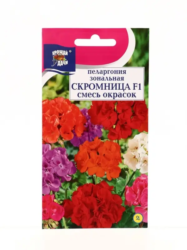 Семена цветов Пеларгония зон. Смесь СКРОМНИЦА 0,03 г.