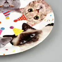 Тарелка Котики фотографичные 17см 6шт/G
